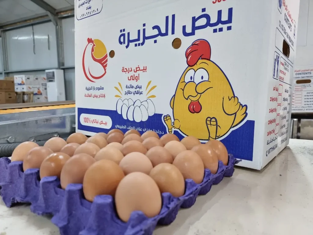 bazeggs