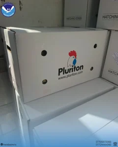 pluriton