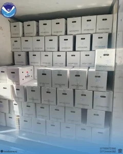 pluriton2